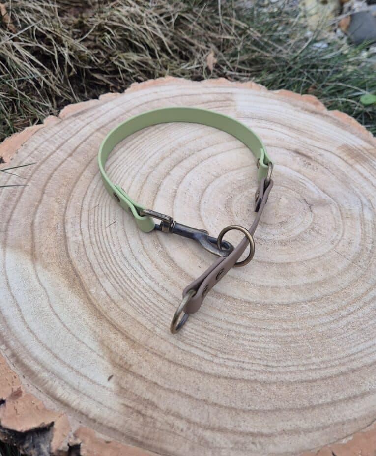 A green and brown dog collar with a metal buckle and ring is displayed on a tree stump with visible growth rings, surrounded by dry grass.