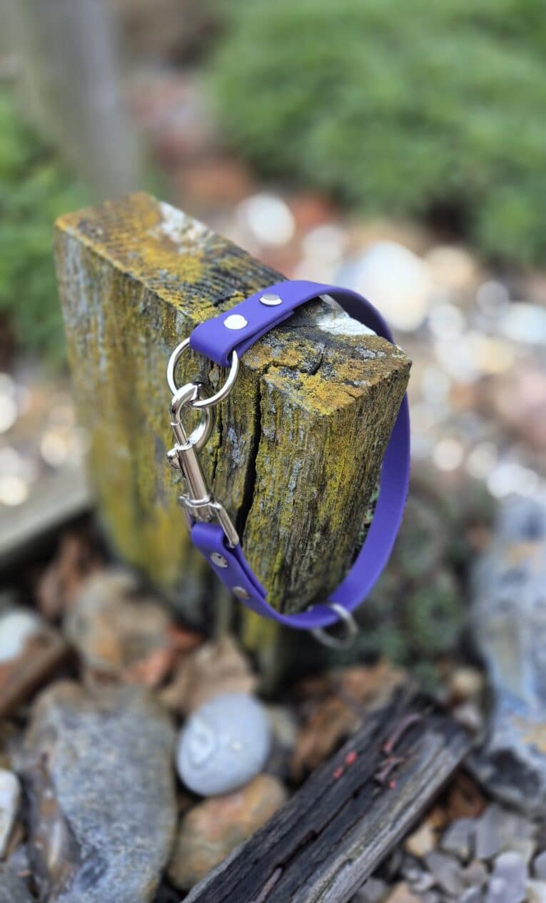Vibrant blue quick-snap customisable dog collar with metal chain and D-ring, draped over weathered wooden post in garden setting.
