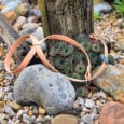 A tan leather strap with metal fittings lies on rocky ground among stones, pebbles, and succulents, leaning against a weathered wooden post outdoors.
