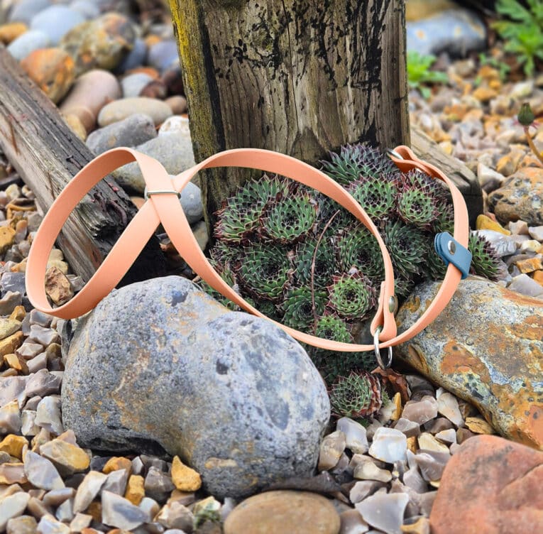 A tan leather strap with metal fittings lies on rocky ground among stones, pebbles, and succulents, leaning against a weathered wooden post outdoors.