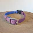 The Custom Quick-Snap Bungee Collar (Copy) in purple and blue, featuring a silver buckle and black plastic clasp, is shown on a round wooden surface.