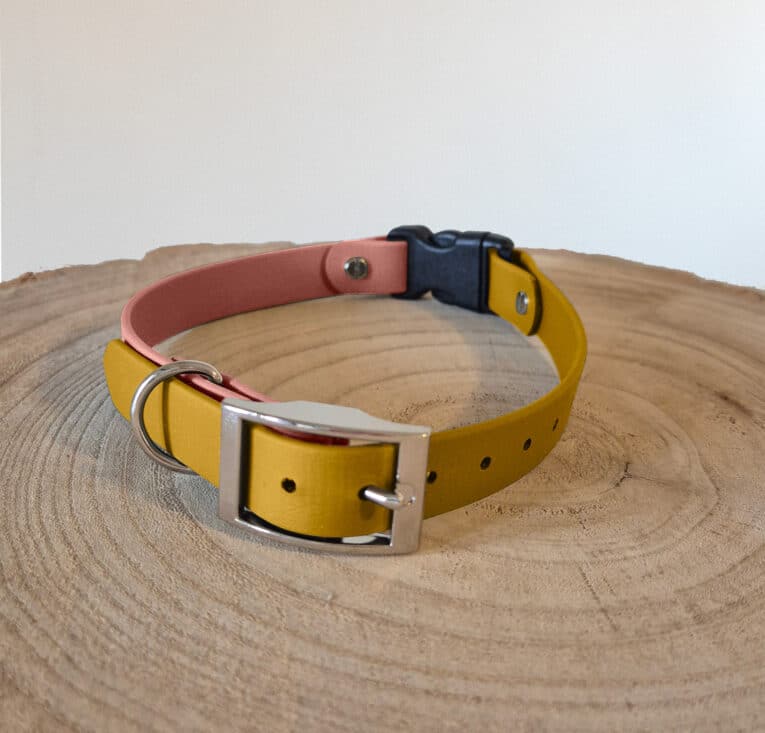 A Custom Quick-Snap Bungee Collar (Copy) in yellow and pink with a silver buckle and metal D-ring, shown on a round wooden surface with visible tree rings.