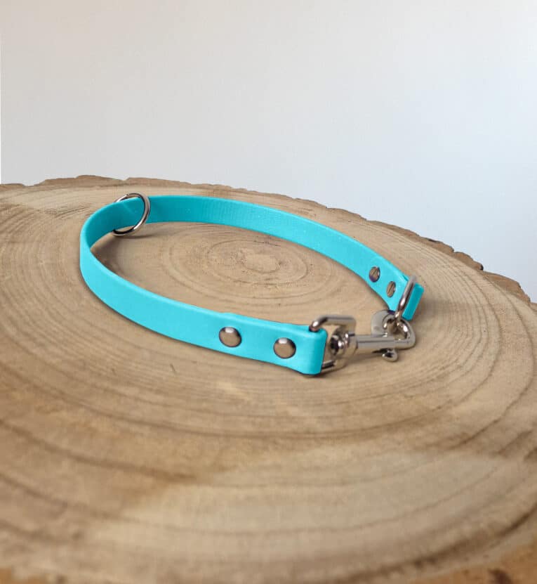 A turquoise pet collar with metal rivets and a clasp is displayed on a round, wooden surface with visible tree rings. The background is neutral and unfocused.