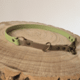 A two-tone dog collar, with light green and taupe sections, brass fittings, and a metal clasp, displayed on a round wooden surface with visible tree rings.