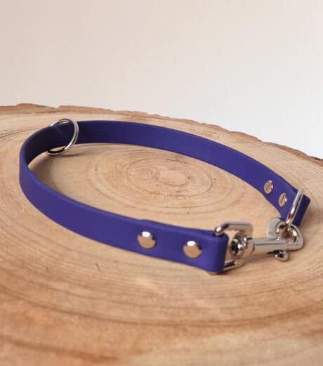 Custom Snap Tag - Slip Collar