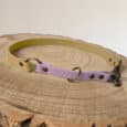 A pastel yellow and lavender dog collar with brass fittings is displayed on a round wooden tree stump, against a neutral background.