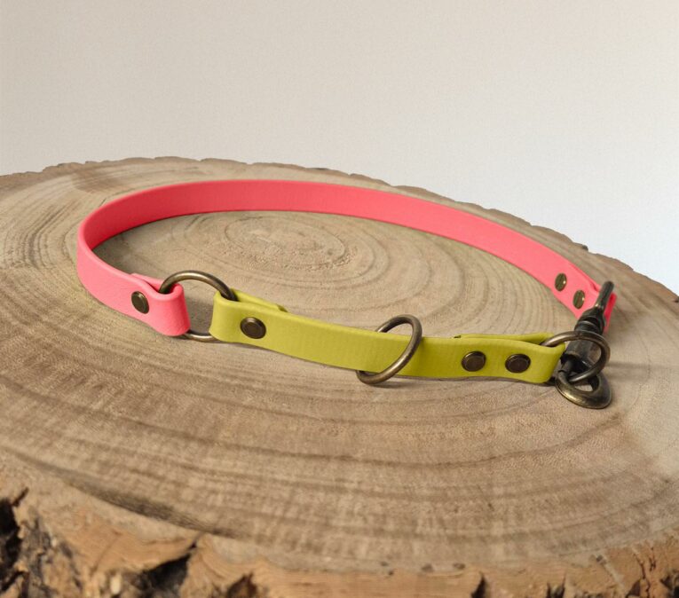 A dog collar with a pink band and a yellow-green adjustable strap and brass fittings, resting on a round wooden tree stump with visible rings.
