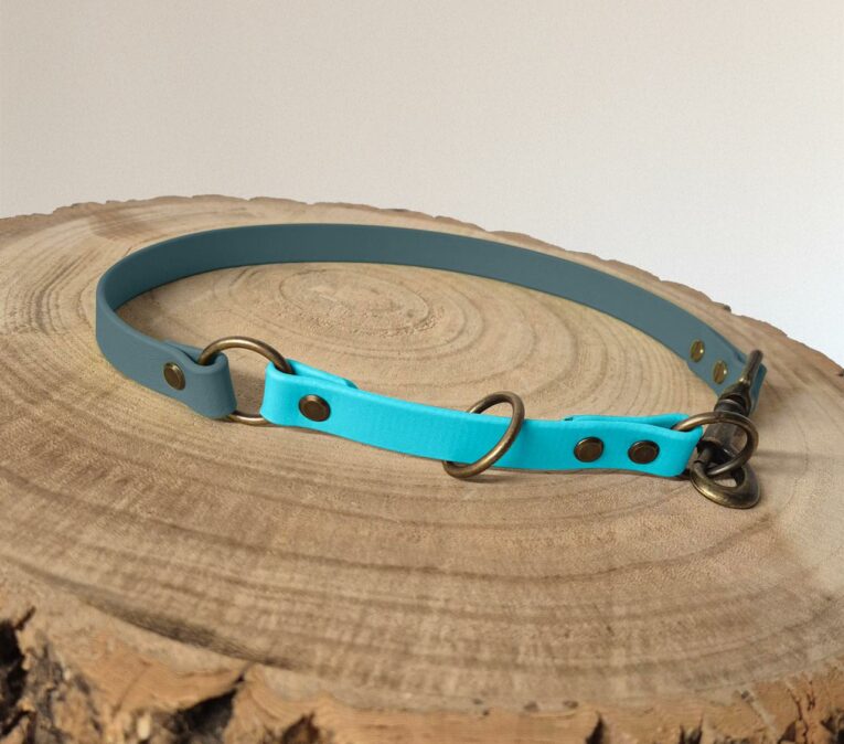 A blue and teal dog collar with brass fittings is displayed on a round, natural wooden surface with visible tree rings.