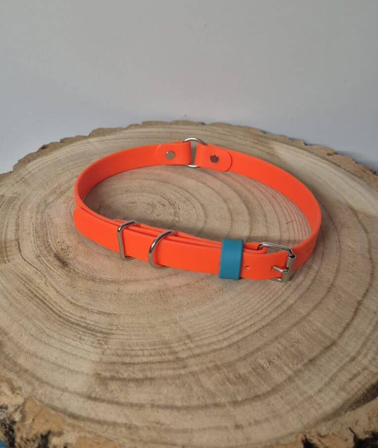 The Centre O-Ring Collar / Gundog Collar features a bright orange design with silver fittings, an O-Ring style, and blue accent, displayed flat on a wooden tree slice with a light grey background.