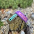 Two personalised Biothane martingale half-slip dog collars with engraved name tags, displaying turquoise and purple options on weathered wood.