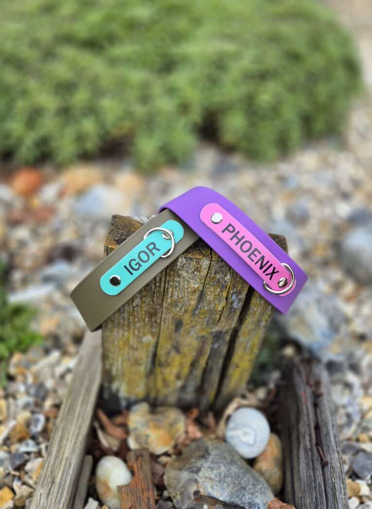 Two personalised Biothane martingale half-slip dog collars with engraved name tags, displaying turquoise and purple options on weathered wood.