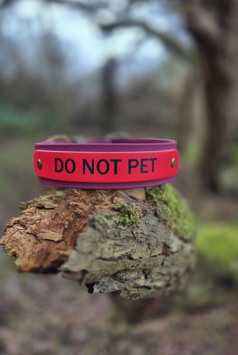 Red and purple waterproof BioThane printed double layer hound collar with 'DO NOT PET' warning text positioned on mossy tree branch.