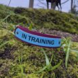 Printed double layer hound collar marked 'IN TRAINING' rests on moss with dog standing in woodland background.