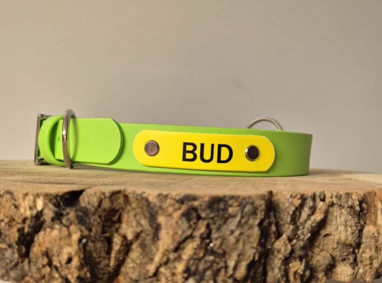 A bright green Centre O-Ring Collar / Gundog Collar with a yellow name tag labelled "BUD," displayed on a textured wooden surface against a plain background.