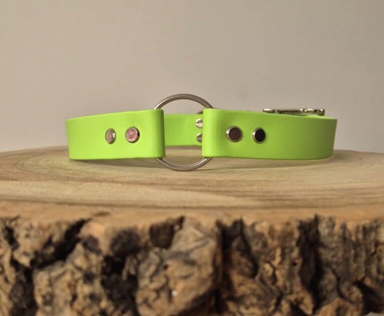The Centre O-Ring Collar / Gundog Collar, made of bright green leather with metal studs and a centre O-ring, is shown on a textured wooden surface against a plain, neutral background.
