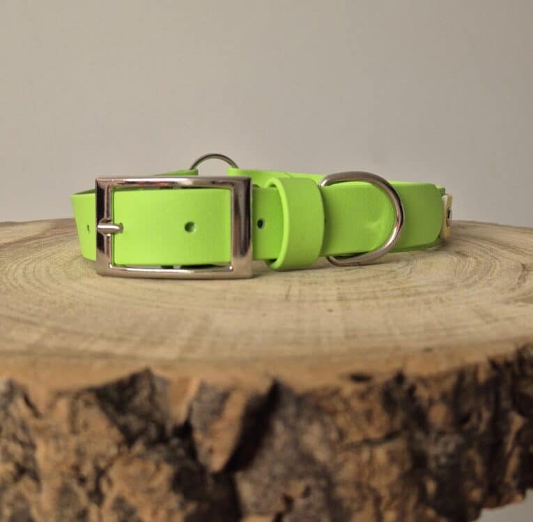 A Centre O-Ring Collar / Gundog Collar in bright green with a silver buckle and D-ring rests on a round wooden surface with visible tree rings, set against a plain, neutral background.