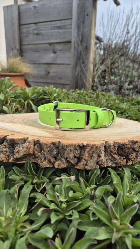 A bright green Centre O-Ring Collar / Gundog Collar with a silver buckle, centre O-ring, and D-ring is shown on a round wooden slab outdoors, surrounded by leafy plants and a wooden fence in the background.