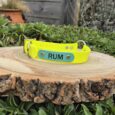 A bright yellow Centre O-Ring Collar / Gundog Collar labelled "RUM" sits on a round wooden slab outdoors, with green plants and a wooden fence in the background.