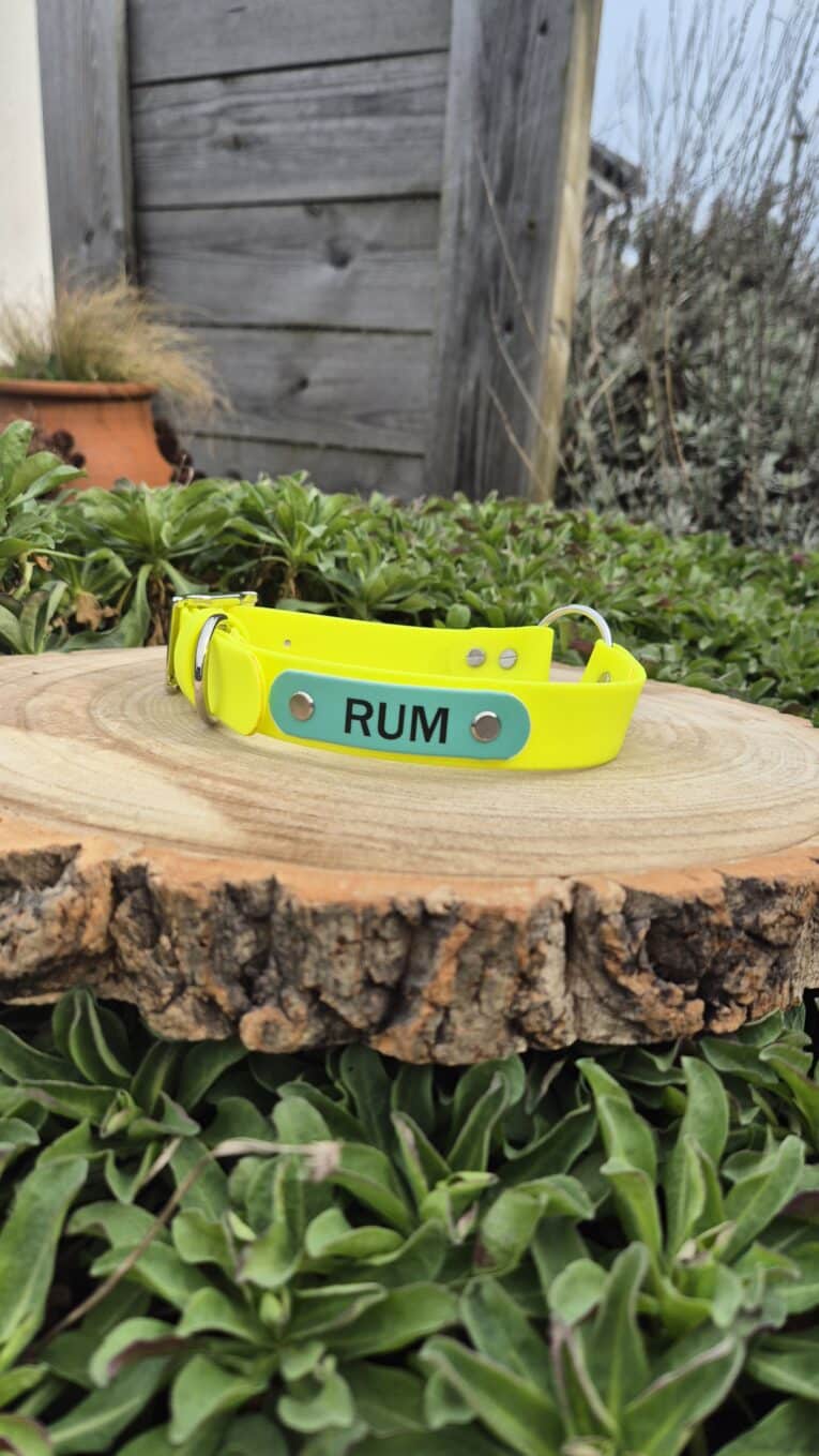 A bright yellow Centre O-Ring Collar / Gundog Collar labelled "RUM" sits on a round wooden slab outdoors, with green plants and a wooden fence in the background.