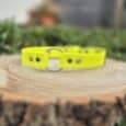 The Centre O-Ring Collar / Gundog Collar in bright yellow, featuring metal studs, rests on a cut tree stump amidst green foliage with a softly blurred background.