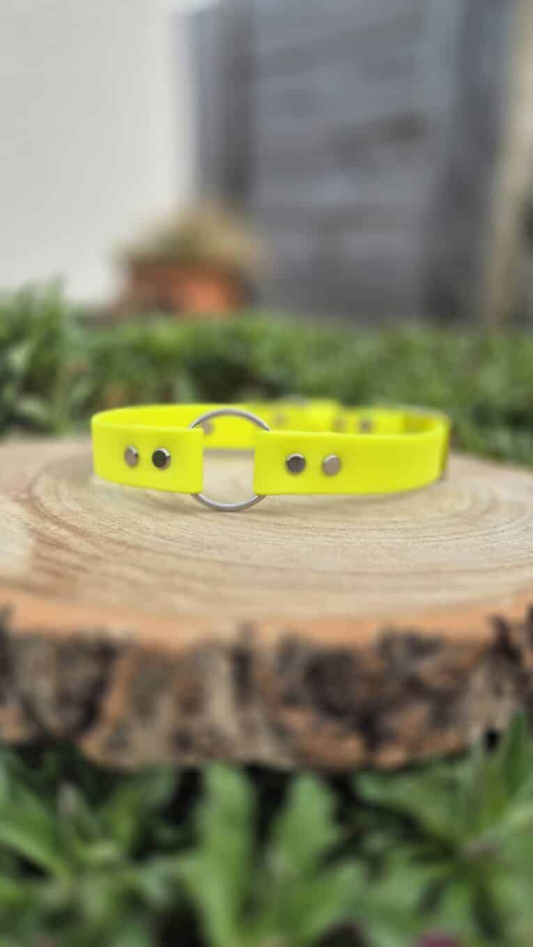 The Centre O-Ring Collar / Gundog Collar in bright yellow, featuring metal studs, rests on a cut tree stump amidst green foliage with a softly blurred background.