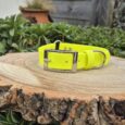 The Centre O-Ring Collar / Gundog Collar in bright yellow with a silver buckle and centre O-ring is shown on a round wooden slab outdoors, surrounded by green plants and a wooden fence in the background.