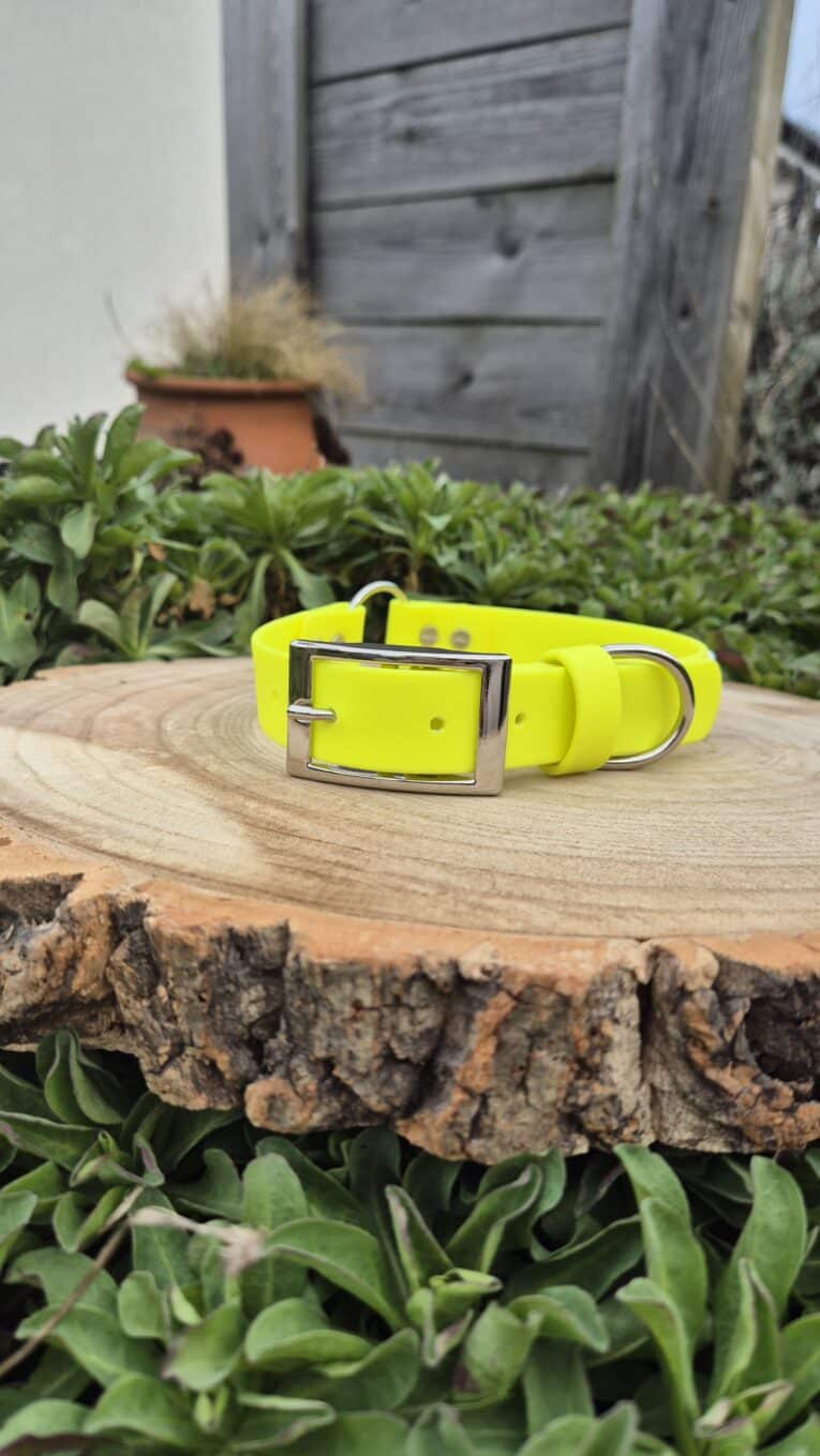 The Centre O-Ring Collar / Gundog Collar in bright yellow with a silver buckle and centre O-ring is shown on a round wooden slab outdoors, surrounded by green plants and a wooden fence in the background.