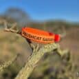 Bright orange BioThane nameplate add-on engraved 'BUSHCAT SAFARI' clipped to a branch in natural bushland setting.