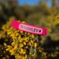 Bright pink BioThane nameplate reading 'HAYLEY' attached to yellow flowering shrub outdoors.