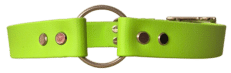 Gundog & Tag Collars