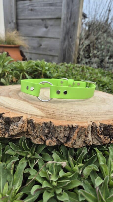 Centre O-Ring Collar / Gundog Collar