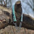 A Martingale / Half-Check Collar in a green and black pattern with a metal chain and ring is draped over a fallen tree branch outdoors, with blurred trees and grass in the background.