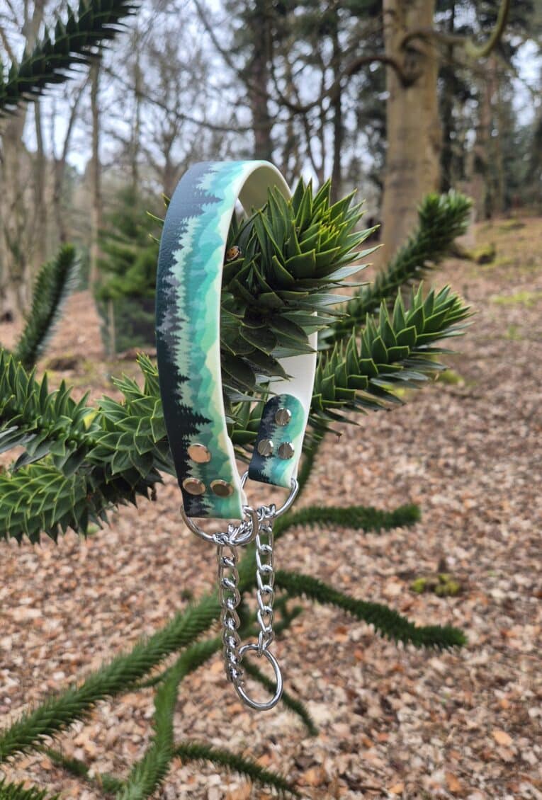 A Martingale / Half-Check Collar with a green and white pattern and metal chain hangs from the branch of a spiky evergreen tree in woodland, surrounded by fallen leaves.