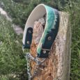 A Martingale / Half-Check Collar in green and white with a forest tree pattern sits atop a weathered tree stump, surrounded by vibrant greenery.