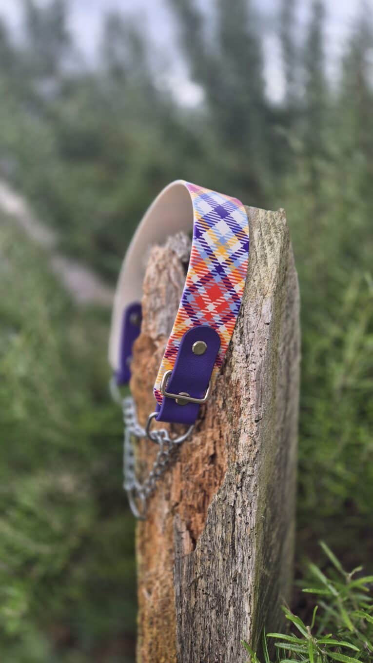 A vibrant check Martingale / Half-Check Collar with purple leather and metal chain accents rests on a weathered wooden post, set against a backdrop of blurred green foliage.