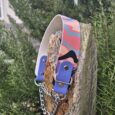 A Martingale / Half-Check Collar with a colourful pattern, metal chain, and blue leather accents is draped over a weathered wooden post outdoors, surrounded by green bushy plants.