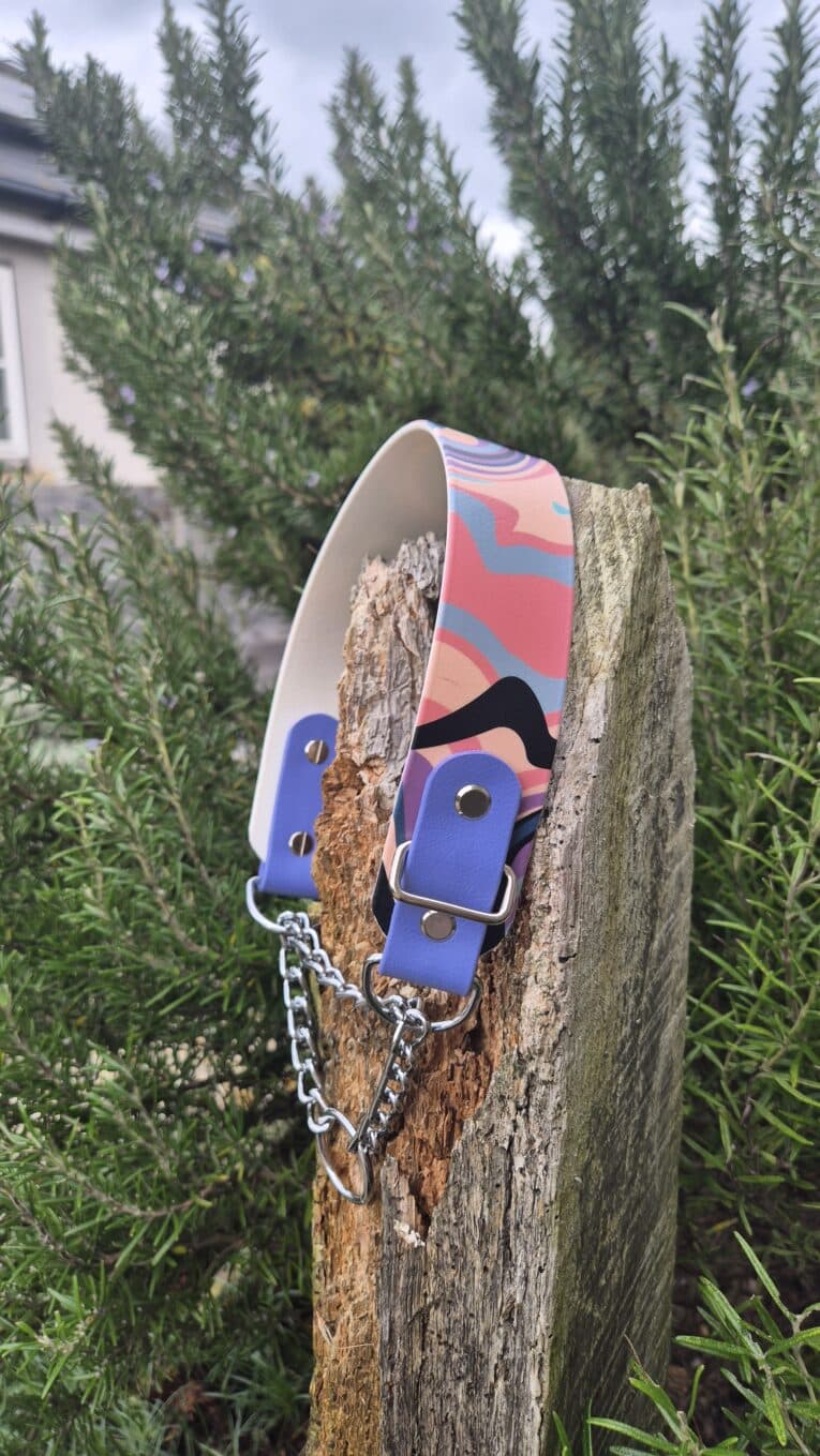 A Martingale / Half-Check Collar with a colourful pattern, metal chain, and blue leather accents is draped over a weathered wooden post outdoors, surrounded by green bushy plants.