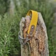 A Martingale / Half-Check Collar in yellow with metal studs and chain rests on a weathered tree stump, amidst lush green foliage.