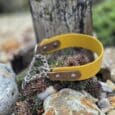 A yellow Martingale / Half-Check Collar with a metal chain rests atop small succulents, surrounded by rocks and gravel, with a weathered wooden post in the background.