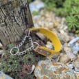 A yellow metal Martingale / Half-Check Collar sits atop a cluster of green succulents and rocks near a weathered wooden post, with lush greenery in the background.
