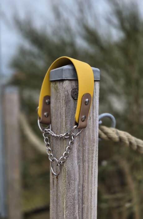 Martingale / Half-Check Collar