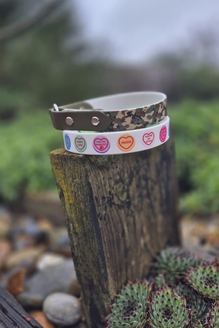 The Avocado Grove Two Colour Collar, featuring colourful heart-shaped designs, rests on a weathered wooden post amid succulents and rocks in a peaceful outdoor garden.