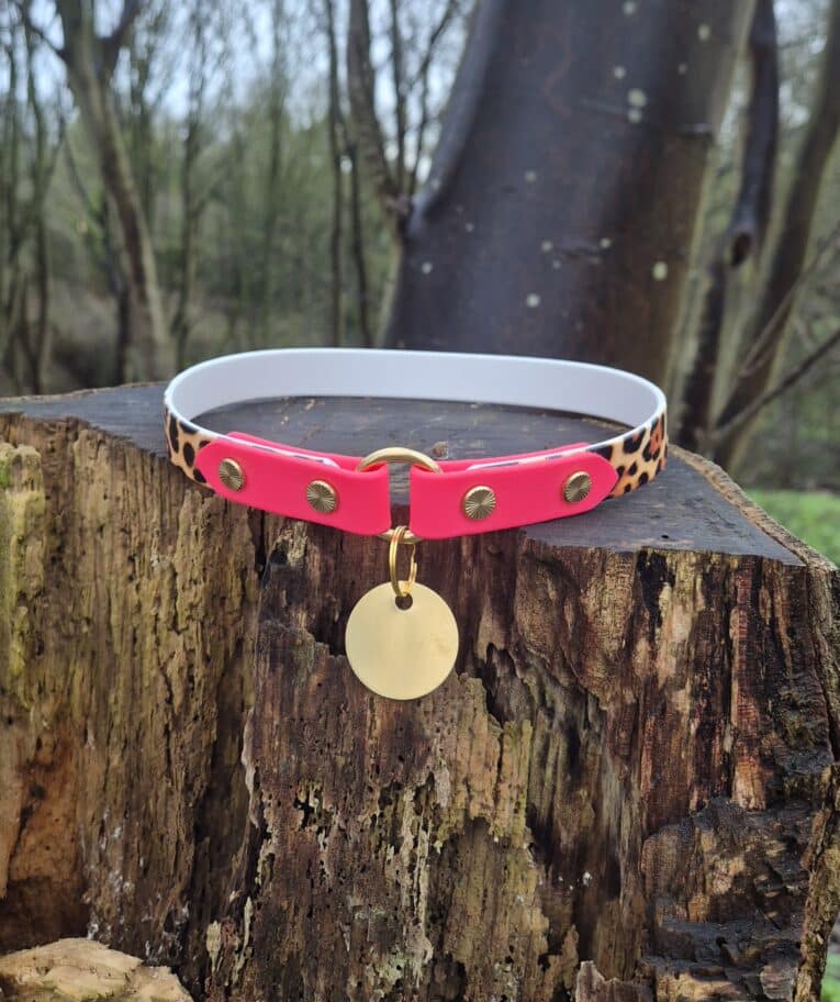 The Avocado Grove Two Colour Collar (Copy), with pink and leopard print, gold studs, and a round gold tag, sits on a weathered tree stump in an avocado grove, blurred trees providing a soft background.