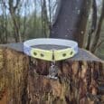 A Tag Collars cat collar featuring a blue floral pattern, yellow accents, and a silver fishbone charm rests on a tree stump in the woods.