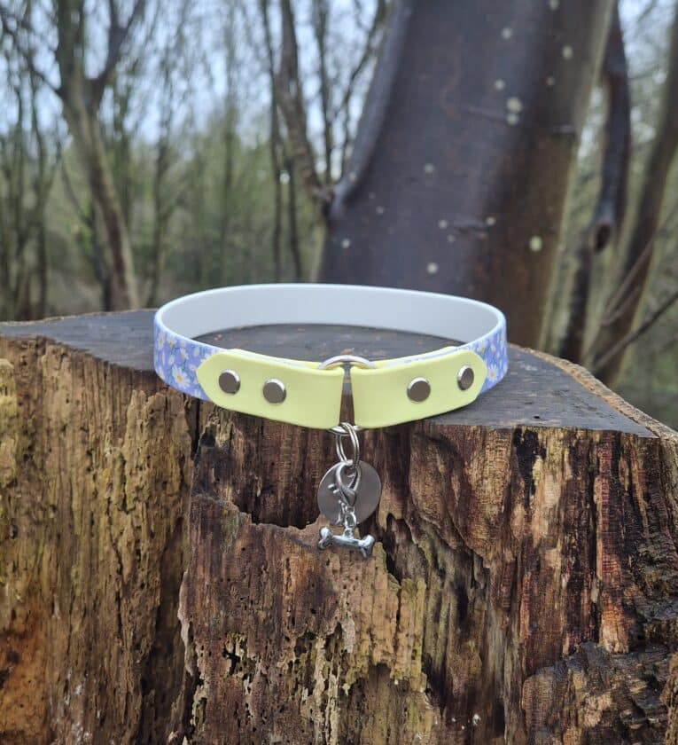 A Tag Collars cat collar featuring a blue floral pattern, yellow accents, and a silver fishbone charm rests on a tree stump in the woods.
