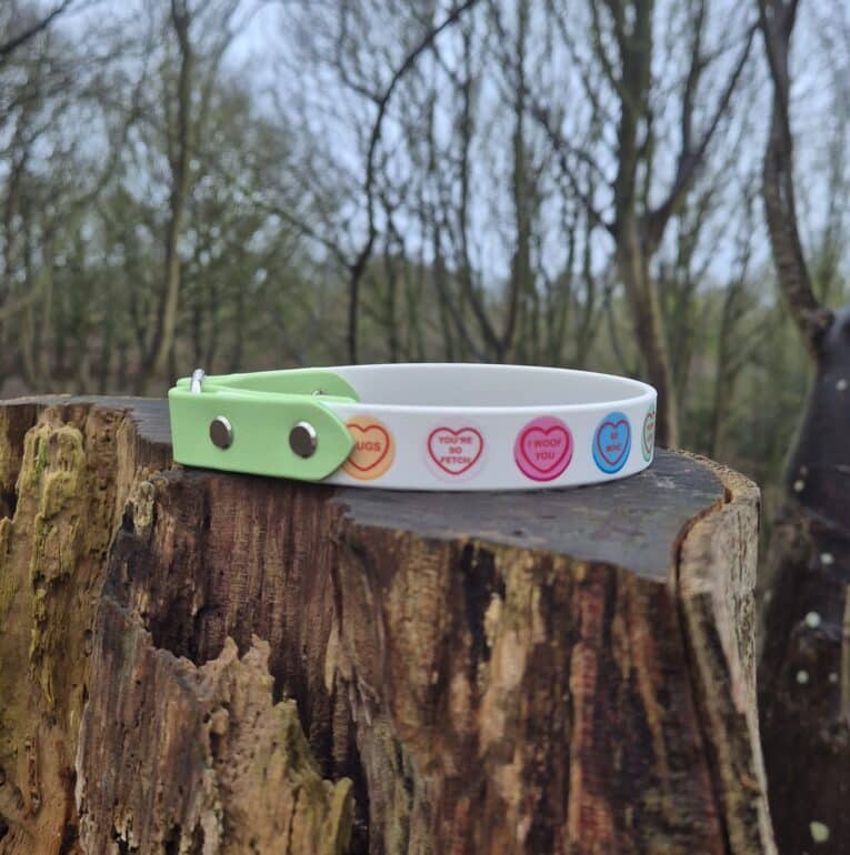 A Tag Collars bracelet featuring colourful heart-shaped designs and messages rests on a weathered tree stump in a forest clearing with bare trees in the background.
