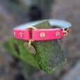 The Tag Collars pet collar, featuring pink and leopard print with gold studs and a gold tag, hangs on a mossy wooden plank outdoors.