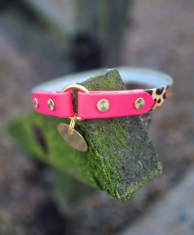 The Tag Collars pet collar, featuring pink and leopard print with gold studs and a gold tag, hangs on a mossy wooden plank outdoors.