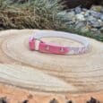 The Tag Collars pet collar, featuring a small white and pink design with floral patterns and metal studs, is shown on a tree stump with grass and rocks in the background.
