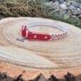 The Tag Collars, featuring a white and red strawberry pattern with a small bone-shaped charm, are displayed outdoors on a tree stump surrounded by grass and rocks.